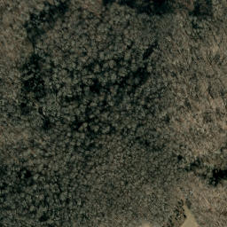 Satellite imagery of Cove Creek Ridge, US