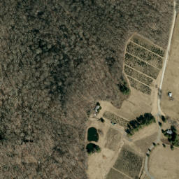 Satellite imagery of Cove Creek Ridge, US