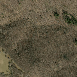 Satellite imagery of Loggy Ridge, US
