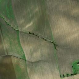 Satellite imagery of survey_point, DZ