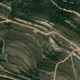 Satellite imagery of survey_point, DZ