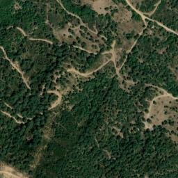 Satellite imagery of survey_point, DZ