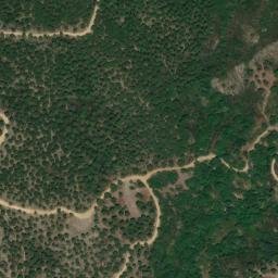 Satellite imagery of survey_point, DZ