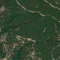 Satellite imagery of survey_point, DZ