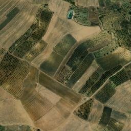 Satellite imagery of Mguil el Ibel, DZ