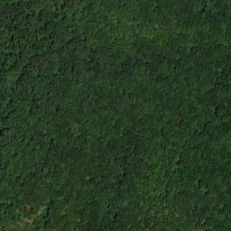 Satellite imagery of Douglas Bluff, US