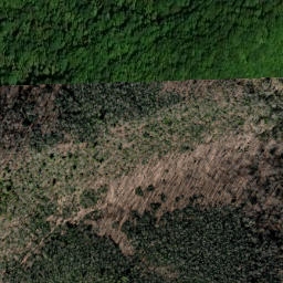 Satellite imagery of Dye Leaf Ridge, US