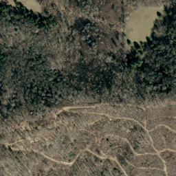 Satellite imagery of Ivory Ridge, US