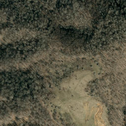 Satellite imagery of Cove Creek Ridge, US