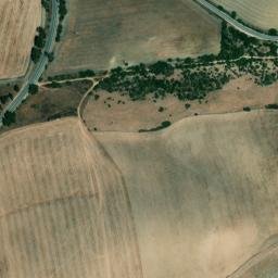 Satellite imagery of survey_point, DZ
