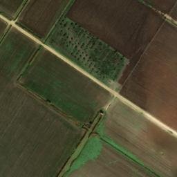 Satellite imagery of survey_point, DZ