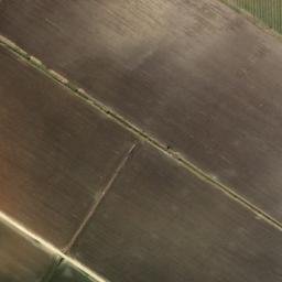 Satellite imagery of survey_point, DZ