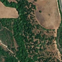 Satellite imagery of survey_point, DZ