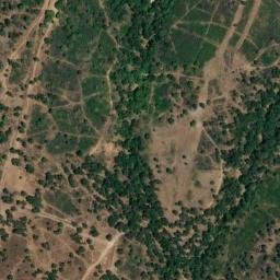 Satellite imagery of survey_point, DZ