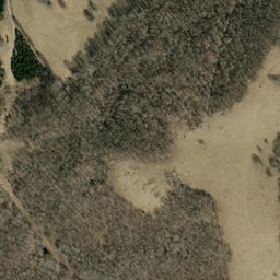 Satellite imagery of Wolf Ridge, US