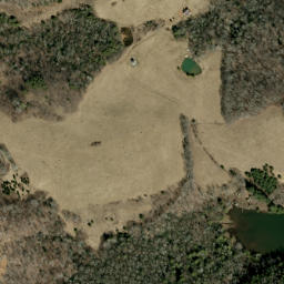 Satellite imagery of Wolf Ridge, US