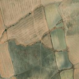 Satellite imagery of survey_point, DZ