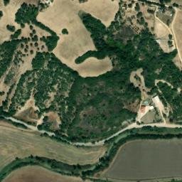 Satellite imagery of survey_point, DZ