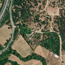 Satellite imagery of survey_point, DZ