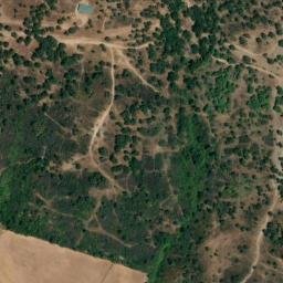 Satellite imagery of survey_point, DZ