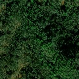 Satellite imagery of Polk Ridge, US