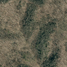 Satellite imagery of Beaverdam Ridge, US