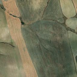 Satellite imagery of survey_point, DZ