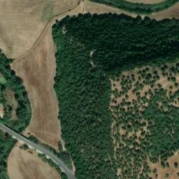 Satellite imagery of survey_point, DZ
