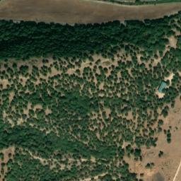 Satellite imagery of survey_point, DZ