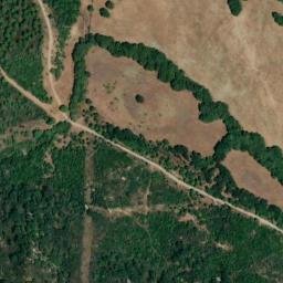 Satellite imagery of survey_point, DZ