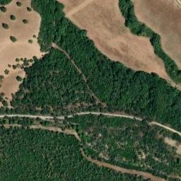 Satellite imagery of survey_point, DZ