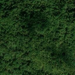 Satellite imagery of Whiteoak Ridge, US