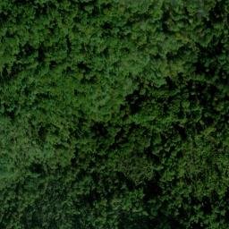 Satellite imagery of Whiteoak Ridge, US
