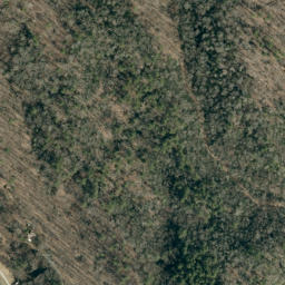 Satellite imagery of Beaverdam Ridge, US