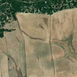 Satellite imagery of survey_point, DZ
