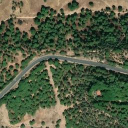 Satellite imagery of survey_point, DZ