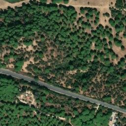 Satellite imagery of survey_point, DZ
