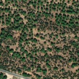 Satellite imagery of survey_point, DZ