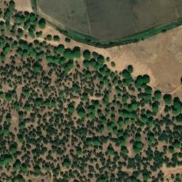 Satellite imagery of survey_point, DZ