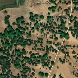 Satellite imagery of survey_point, DZ