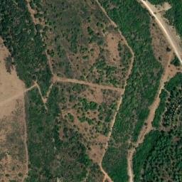 Satellite imagery of survey_point, DZ