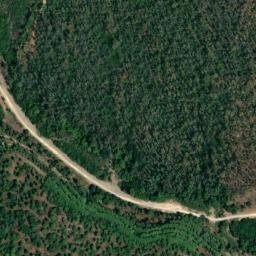 Satellite imagery of survey_point, DZ