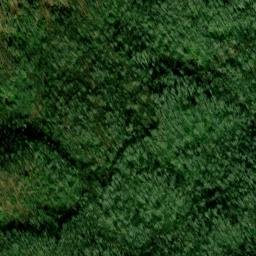 Satellite imagery of Bunton Ridge, US