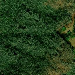 Satellite imagery of Bunton Ridge, US