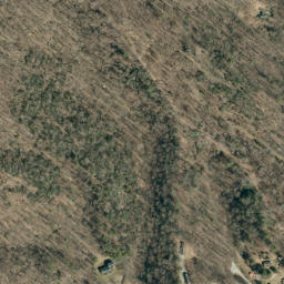 Satellite imagery of Beaverdam Ridge, US