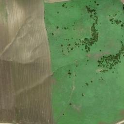 Satellite imagery of survey_point, DZ