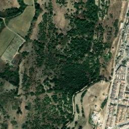 Satellite imagery of survey_point, DZ