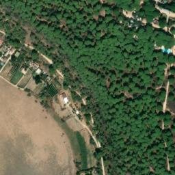 Satellite imagery of survey_point, DZ