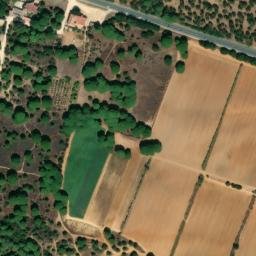Satellite imagery of survey_point, DZ