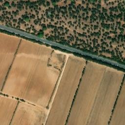 Satellite imagery of survey_point, DZ